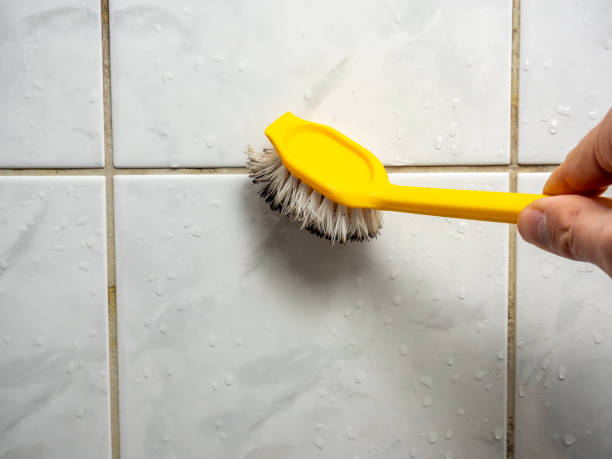 Best Mold Removal Company Near Me  in Alto, TX