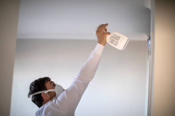 Best Commercial Mold Removal  in Alto, TX