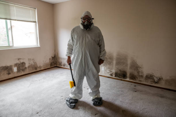 Best Certified Mold Removal  in Alto, TX